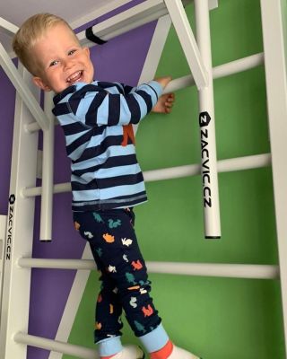 #kovovezebriny #hrazda #žebřinyshrazdou #zebrinyshrazdou #ribstole #gymanstika #hrazdaprodeti #detskypokoj...